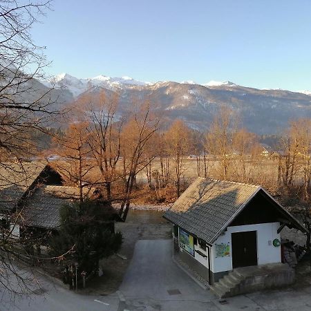 Apartma Kosnik Perunika Bohinj Exterior foto