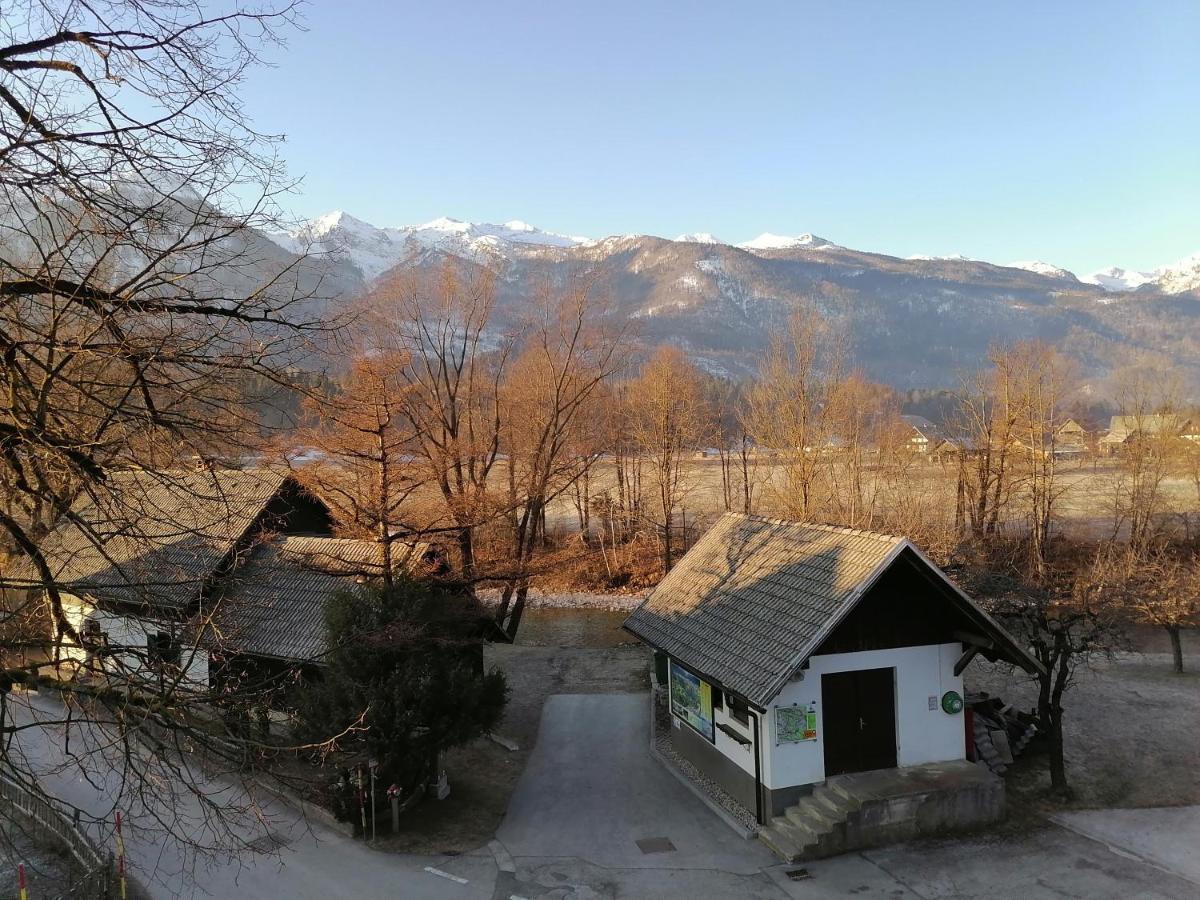 Apartma Kosnik Perunika Bohinj Exterior foto